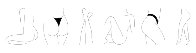 Minimal female body drawings bundle