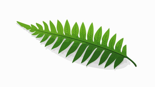 Vector minimal green fern leaf symbol on white surface