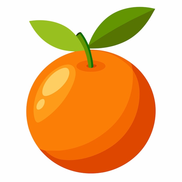 minimal Orange Illustration fruits illustration