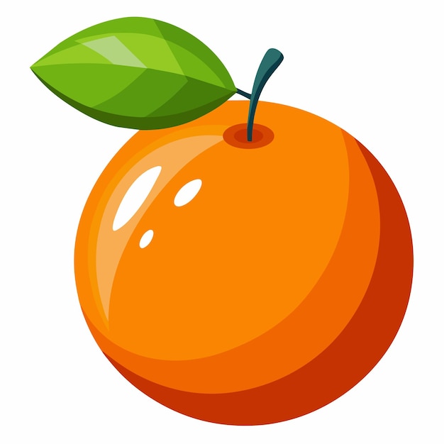 minimal Orange Illustration fruits illustration