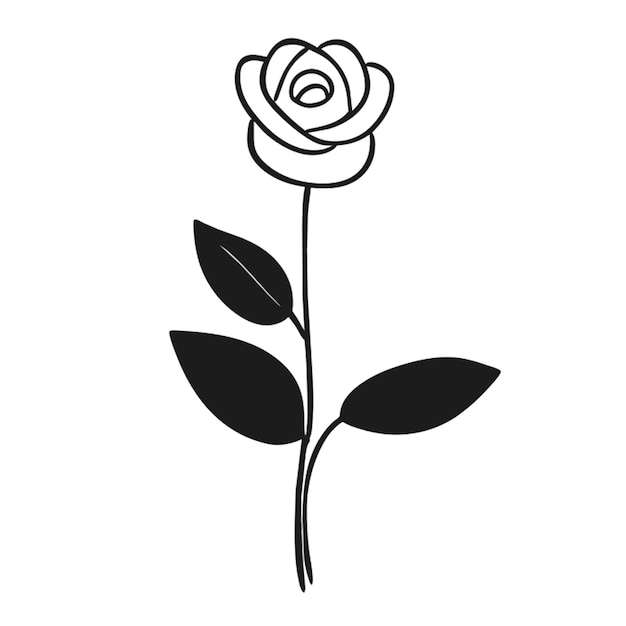 minimal rose vector illustration doodle line art