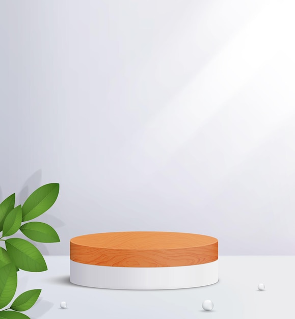 minimal scene with wood round podium