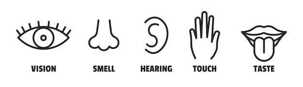 Minimal sence icons eye nose ear hand tongue sensation sign vector sensory simple sign