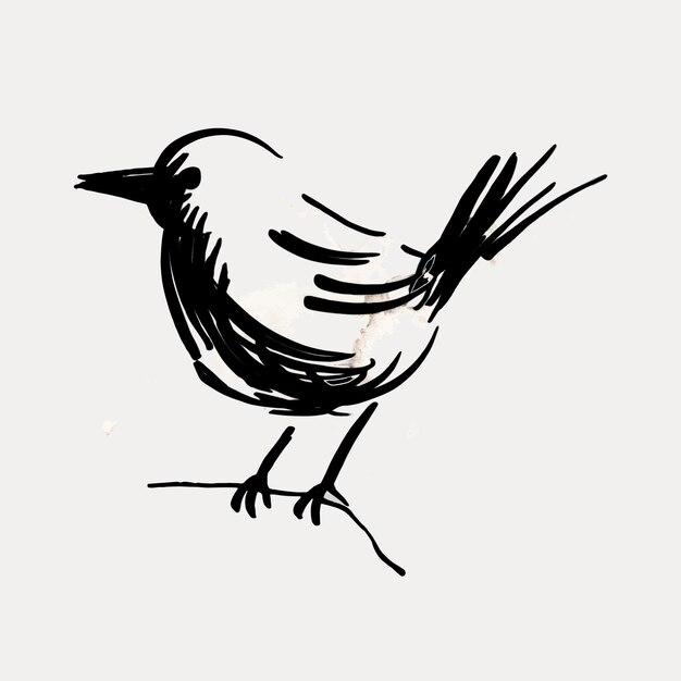 Minimalist bird sketch art