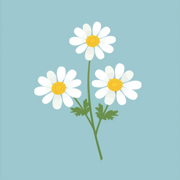 Minimalist daisies illustration on blue