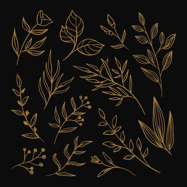 Minimalist floral leaves clipart collection