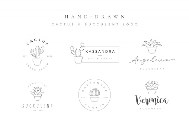 Minimalist hand drawn cactus and succulent logo