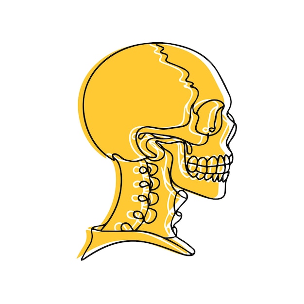 minimalist line drawing of skulls