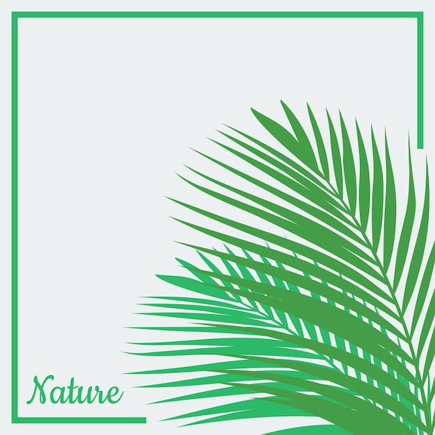 Minimalist palm leaf vector illustration