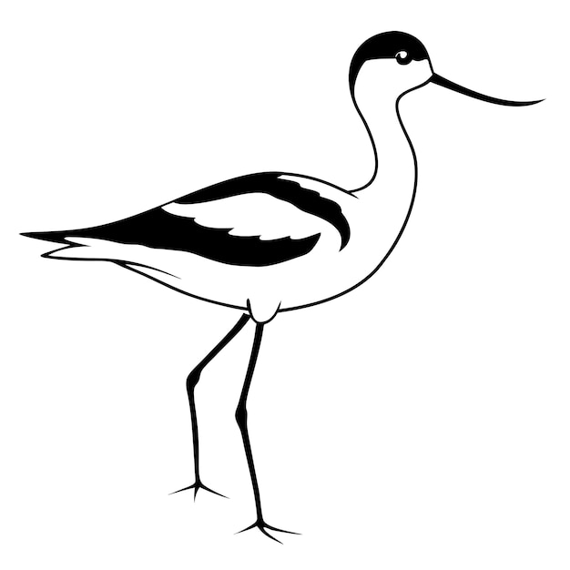 Minimalist stencil of an American avocet bird logo vector illustration