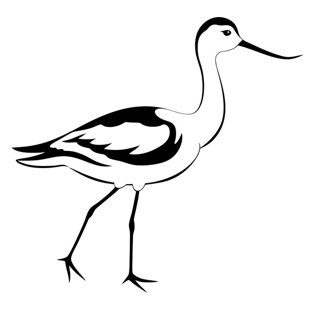 Minimalist stencil of an American avocet bird logo vector illustration