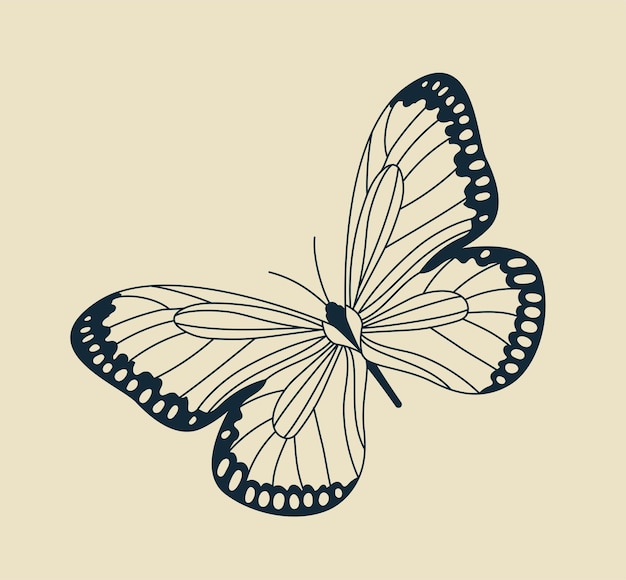 Minimalistic butterfly icon