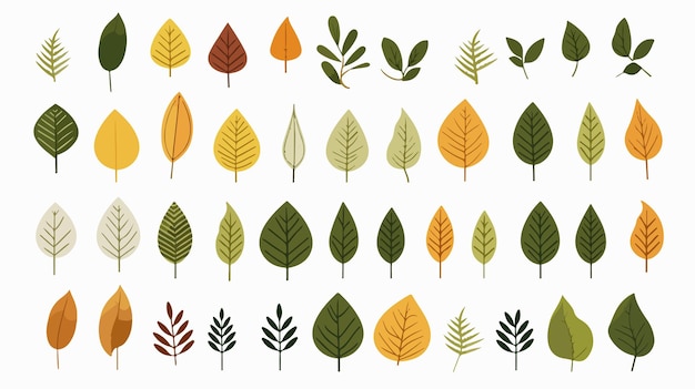 Vector minimalistic flat illustration of leaf set on white background