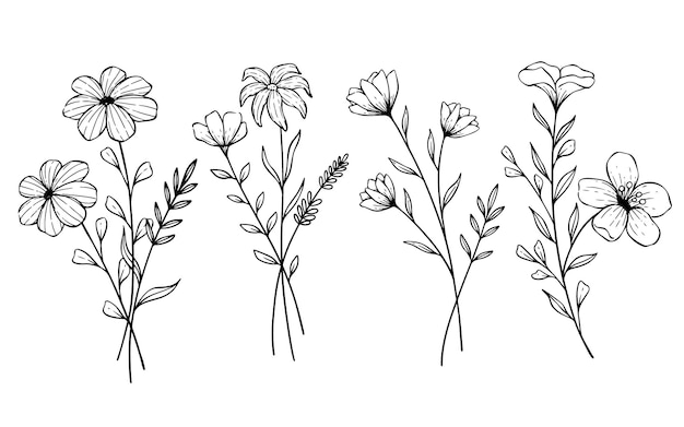 Minimalistic flower graphic sketch drawing Blooming plants and branches with leaves