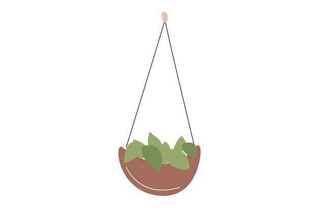 Minimalistic flower in a hanging pot House plant in trendy colors