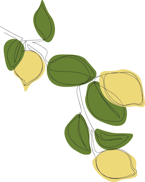 Vector minimalistic lemon branch line art