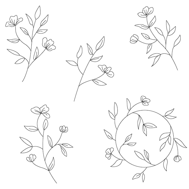 Minimalistic line art set plant branches isolated on white background