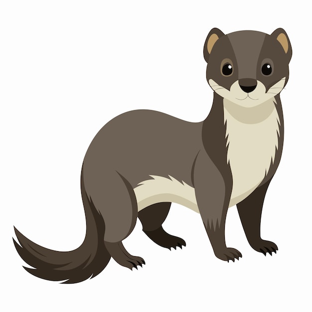 Vector mink vector