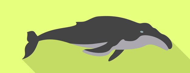 Minke whale icon Flat illustration of minke whale vector icon for web design