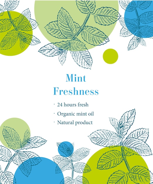 mint freshness sketch template