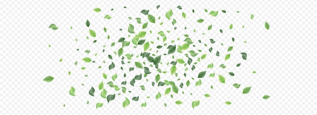 Mint Greenery Foliage Fly Template