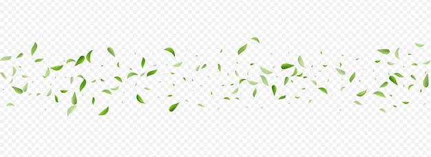 Mint Greens Realistic Vector Panoramic