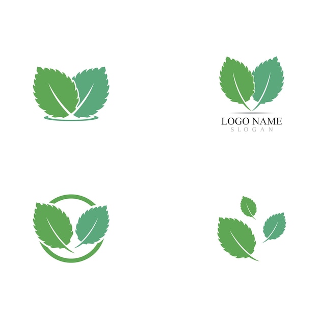 Mint leaf vector icon illustration