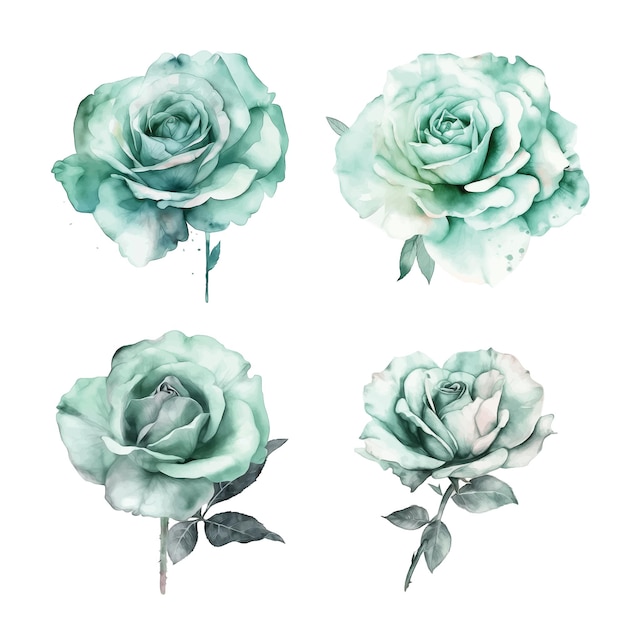 Mint Rose watercolor paint collection