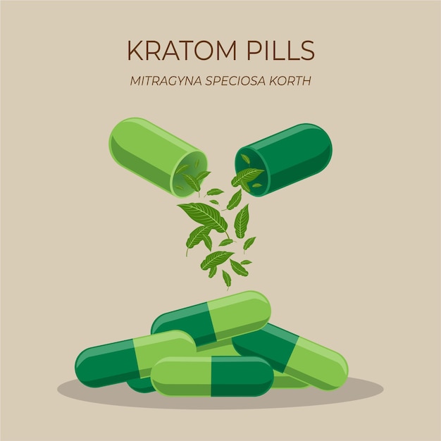 Mitragyna speciosa or Kratom natural herbal medicine capsule pills