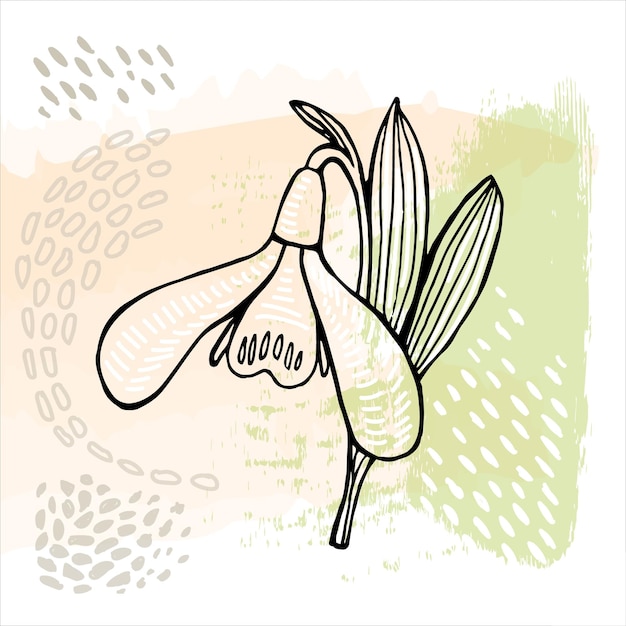 modern abstract illustration of snowdrops flowers leaves different lines and shapes