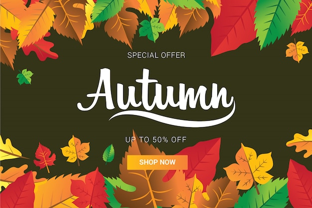 modern autumn with full of colorful leafs for background or social media template banner vector illustrtaion