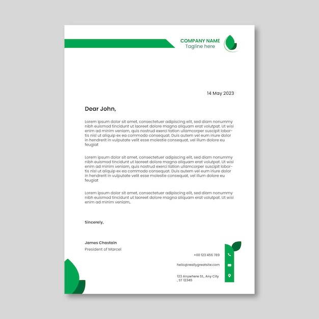 Modern Business Letterhead Vector Template