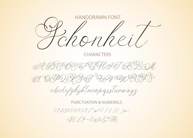 Modern calligraphic font Brush painted letters