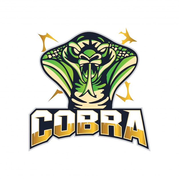 Modern Cobra Sports Team Logo Badge Illustration