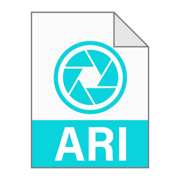 Modern flat design of ARI file icon for web Simple style