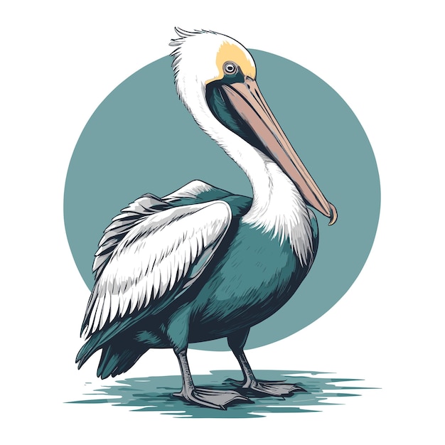 Modern Flat Illustration of a Pelican in Nature