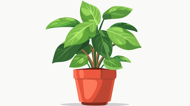 Modern Flat Vector Indoor Potted Plant Nerve Illustration