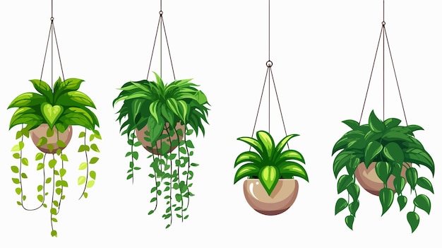 Vector modern hanging houseplant icon for urban jungle green decoration