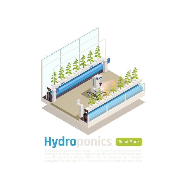 Modern hydroponic greenhouse gardening isometric illustration