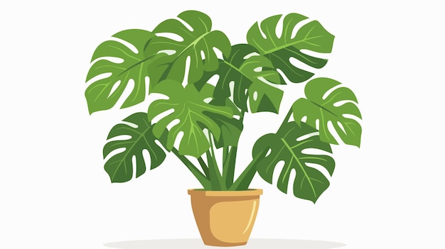 Modern Indoor Potted Plant Monstera Deliciosa Illustration