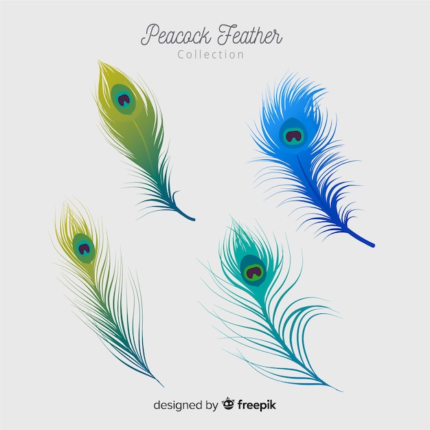 Modern peacock feather collection with realistic design