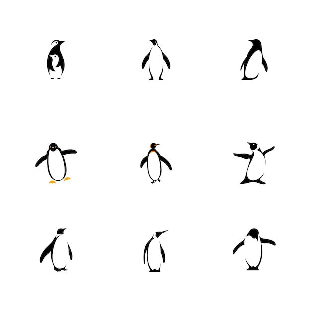 Modern Penguin Cartoon Logo Design Set