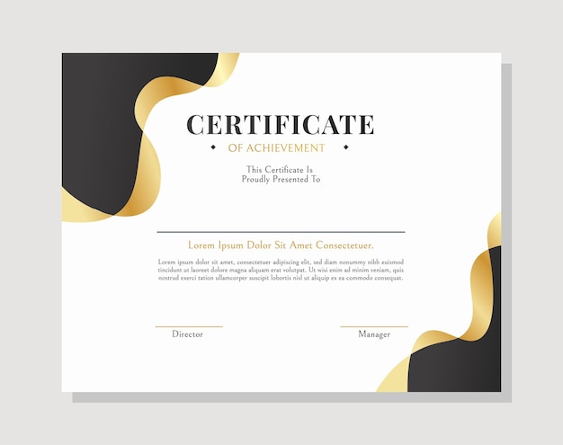 MODERN PROFESSIONAL CERTIFICATE TEMPLATE