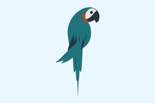 Modern and simple parrot bird illustration