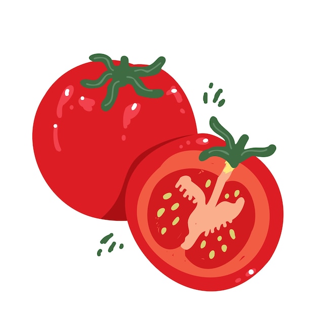 Modern tomato in hand drawn style Vector illustration