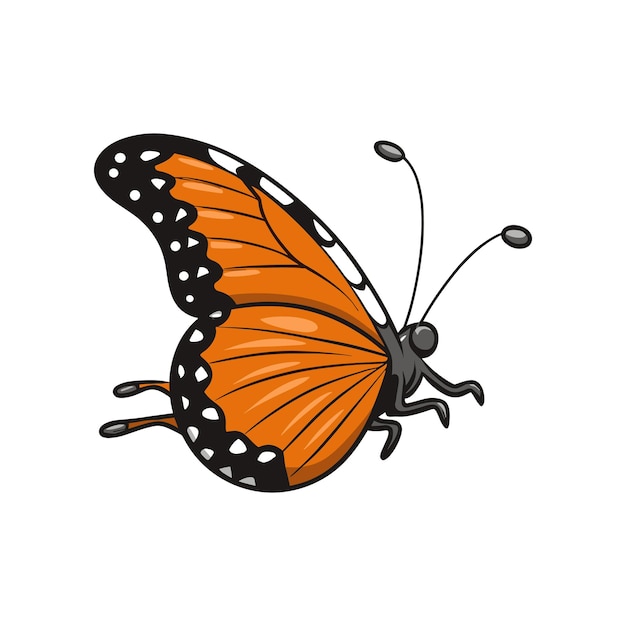 Monarch butterfly flying illustration