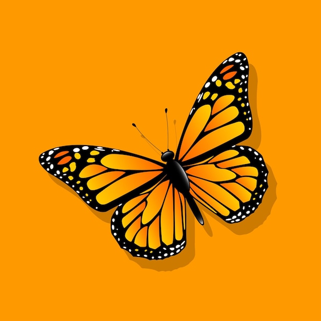 Monarch butterfly