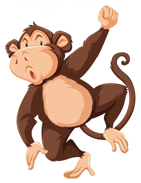 A monkey character on white background