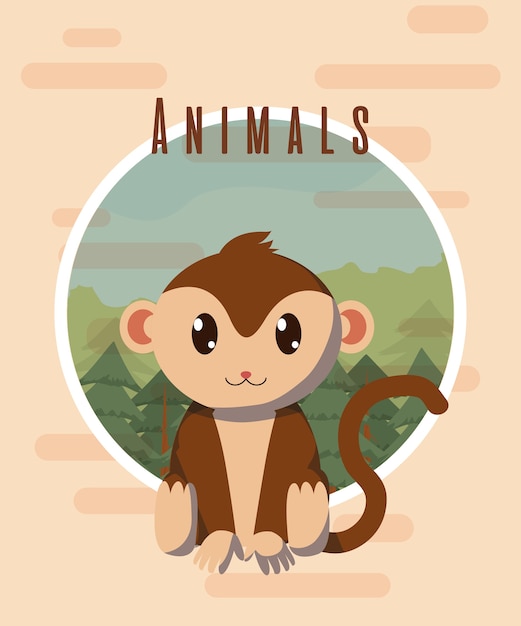 Monkey cute animal colorful card cartoon 