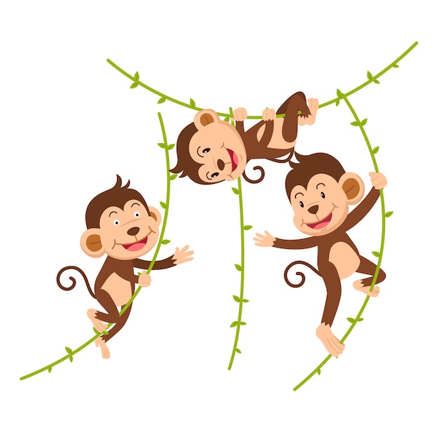 The monkey hangs on a branch isolated vector illustration